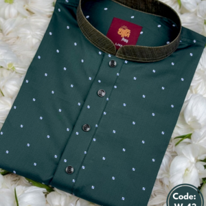 বটল গ্রিন প্রিন্ট পাঞ্জাবি(W-43)
